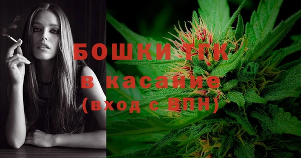 дживик Балахна